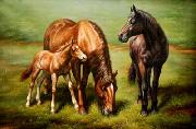 unknow artist Horses 038 Spain oil painting artist